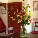 Saenliefde 4* Wormer