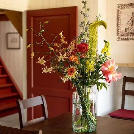 Saenliefde 4* Wormer