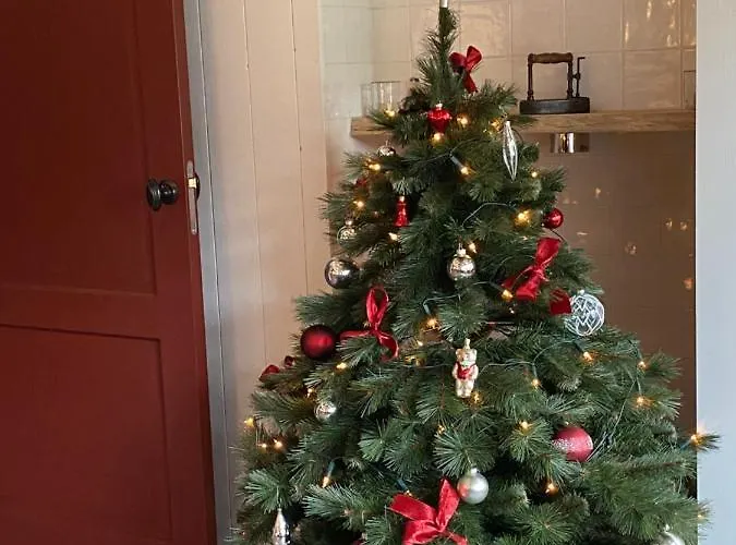 Saenliefde Bed & Breakfast 4*