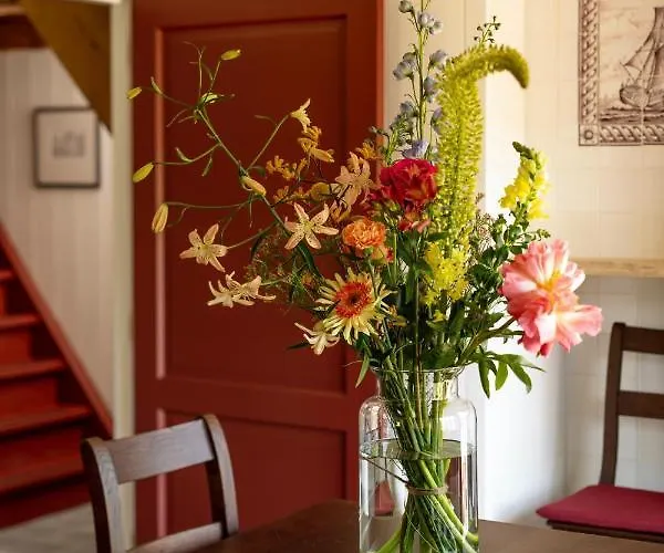 Saenliefde 4* Wormer